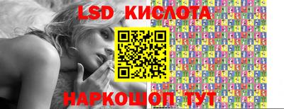 прущие крисы Кингисепп