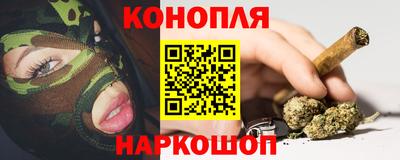 прущие крисы Кингисепп