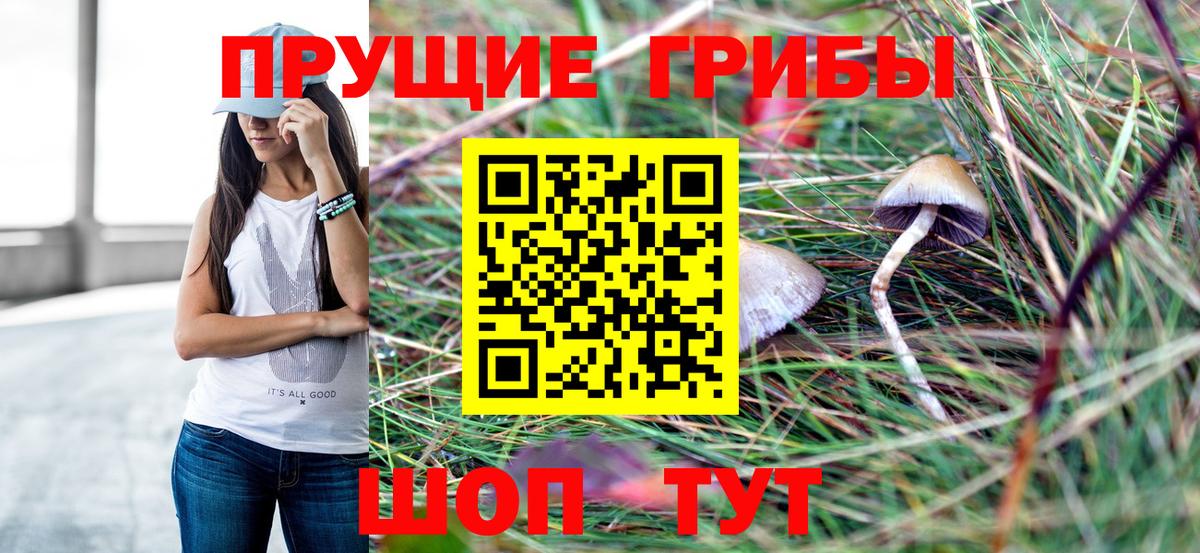 Галлюциногенные грибы MAGIC MUSHROOMS  Галлюциногенные грибы мухоморы  Кызыл  Вход с VPN 