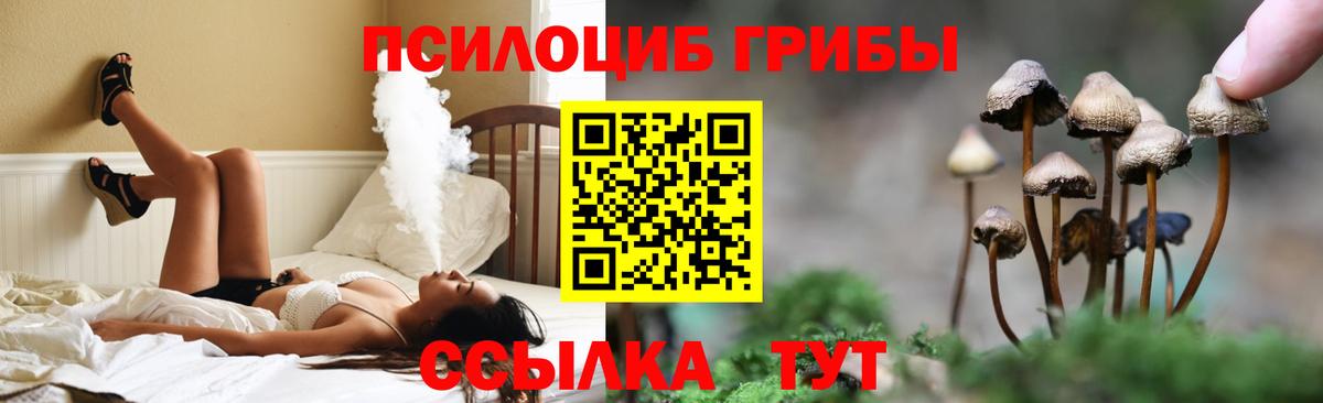 Псилоцибиновые грибы мухоморы Кызыл